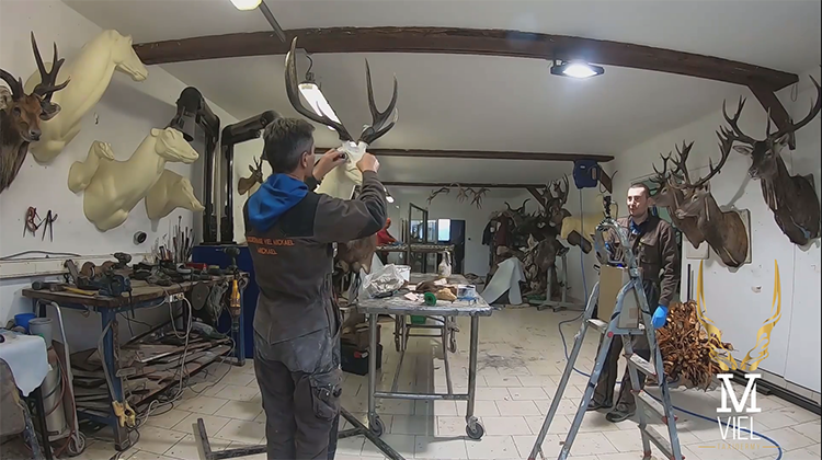 Restauration d'animaux Tourouvre au Perche